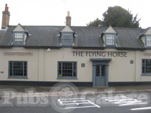 Picture of The Flying Horse