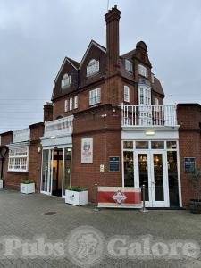 Picture of Fox @ Connaught