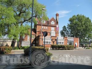 Picture of Fox @ Connaught