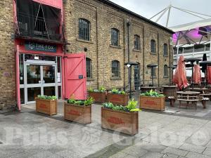 Picture of Fox @ Excel