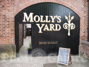 Picture of Molly's Yard