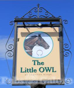 Picture of The Little Owl