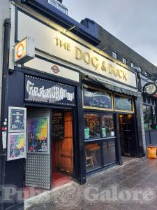 The Dog & Duck