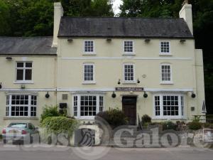 Picture of The Courtfield Arms