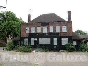 Picture of The Pitts Head