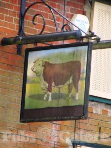 Picture of The Bull