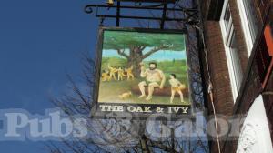 Picture of Oak & Ivy