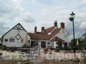 Picture of The Stag