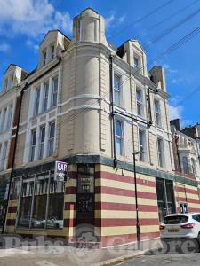 Picture of The Cactus Hound Bar