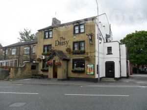Picture of The Daisy