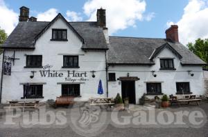Picture of The White Hart Village Inn