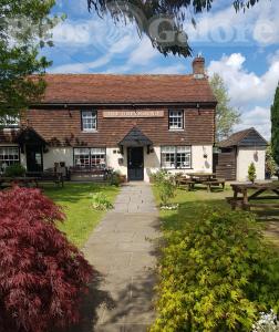 Picture of The Greyhound
