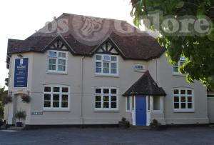 Picture of The Bluebell