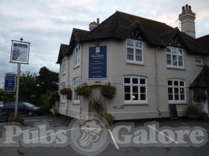 Picture of The Bluebell