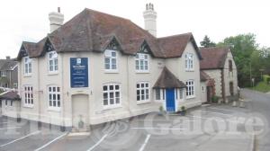 Picture of The Bluebell