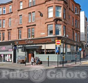 Picture of The Gallus