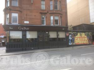 Picture of The Gallus