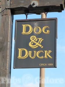 Picture of The Dog & Duck
