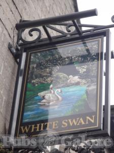 Picture of White Swan