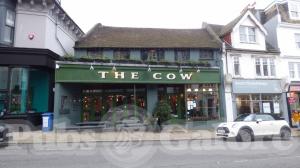 Picture of The Cow