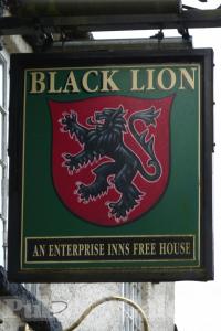 Picture of Black Lion