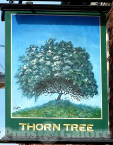 Picture of Thorn Tree