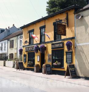 Picture of The Golden Lion