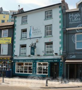 Picture of Sprat & Mackerel