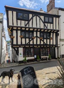 Picture of The Cherub