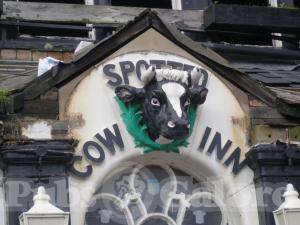 Picture of The Spotted Cow