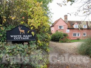 Picture of White Hart