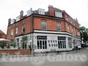 Picture of Great Red Lion