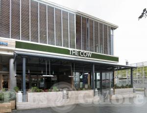 Picture of The Cow