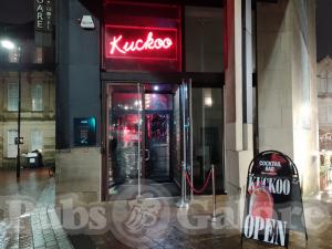 Picture of Kuckoo