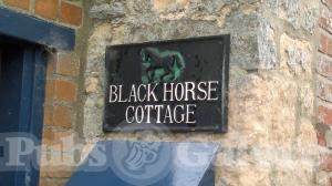 Picture of Black Horse