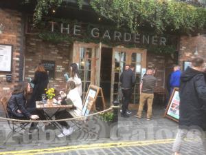 Picture of The Gardener