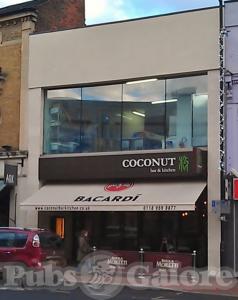 Picture of Coconut