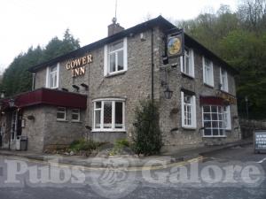 Picture of The Gower Inn