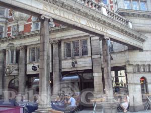 Picture of Holborn Whippet