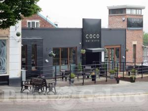 Picture of Coco