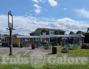 Picture of The Barn Owl