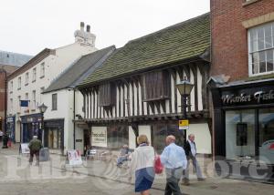 Picture of The Peacock