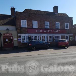 Picture of Old White Hart