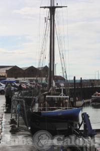 Picture of Albatros