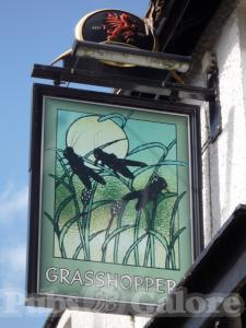 Picture of Grasshoppers