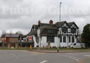 Picture of Halt & Pull