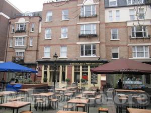 Picture of Truckles of Pied Bull Yard