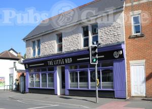Picture of The Little Hop