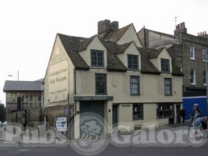Picture of White Horse