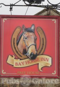 Bay Horse